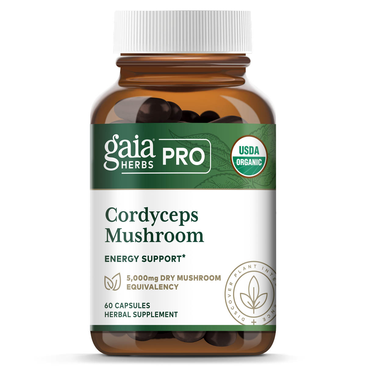 Cordyceps Mushroom