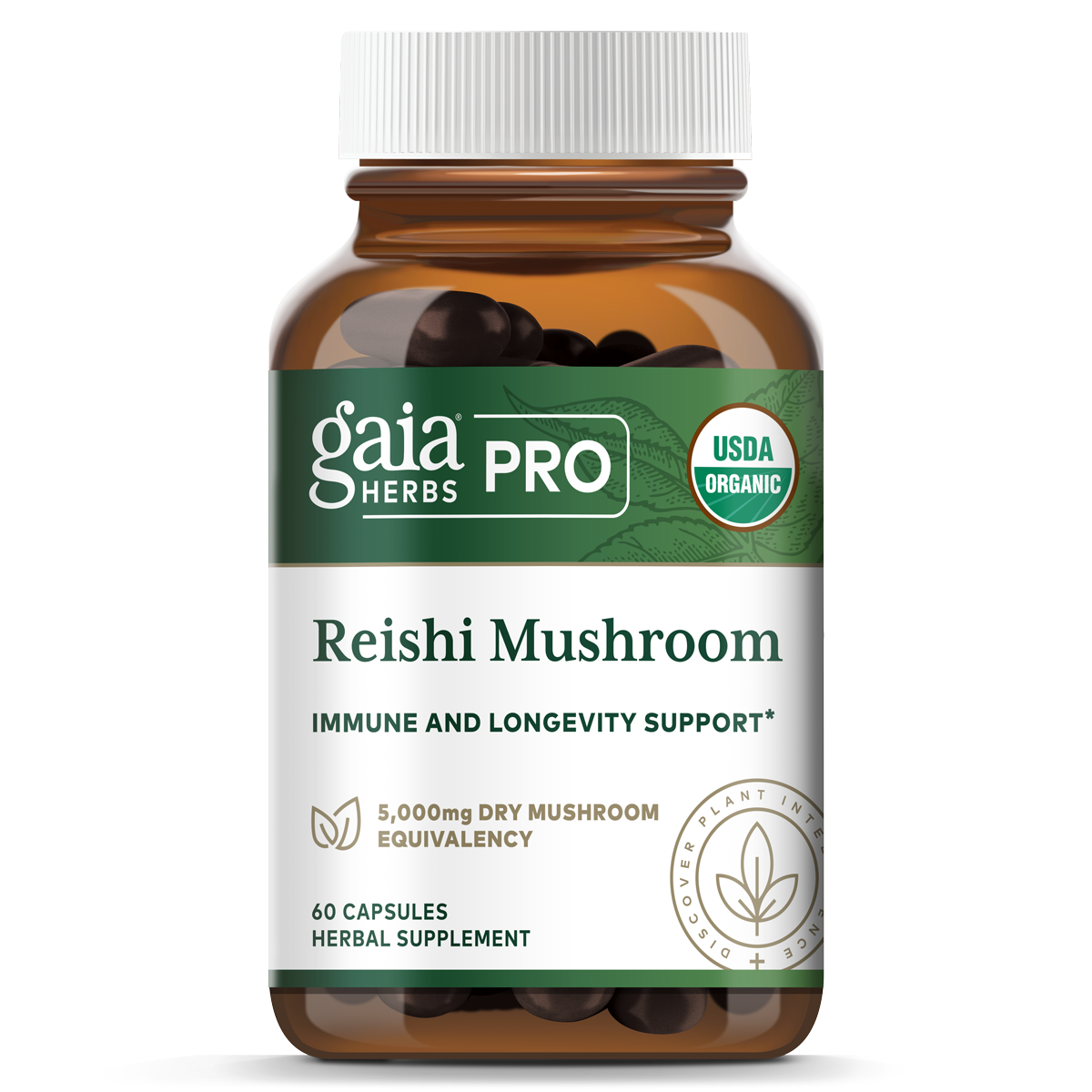 Reishi Mushroom
