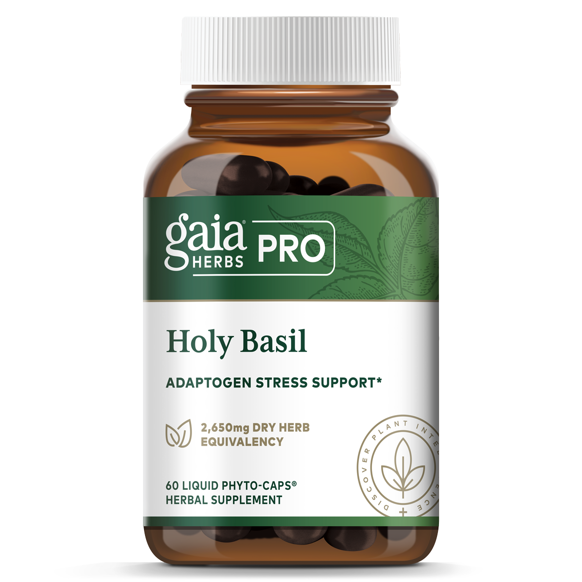 Holy Basil
