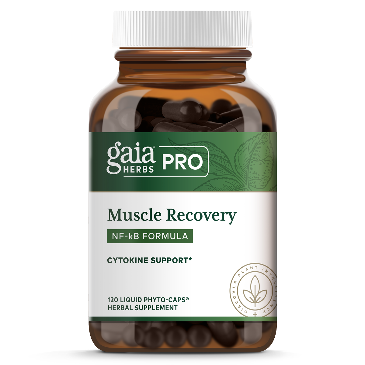 Muscle Recovery NF-kB Formula