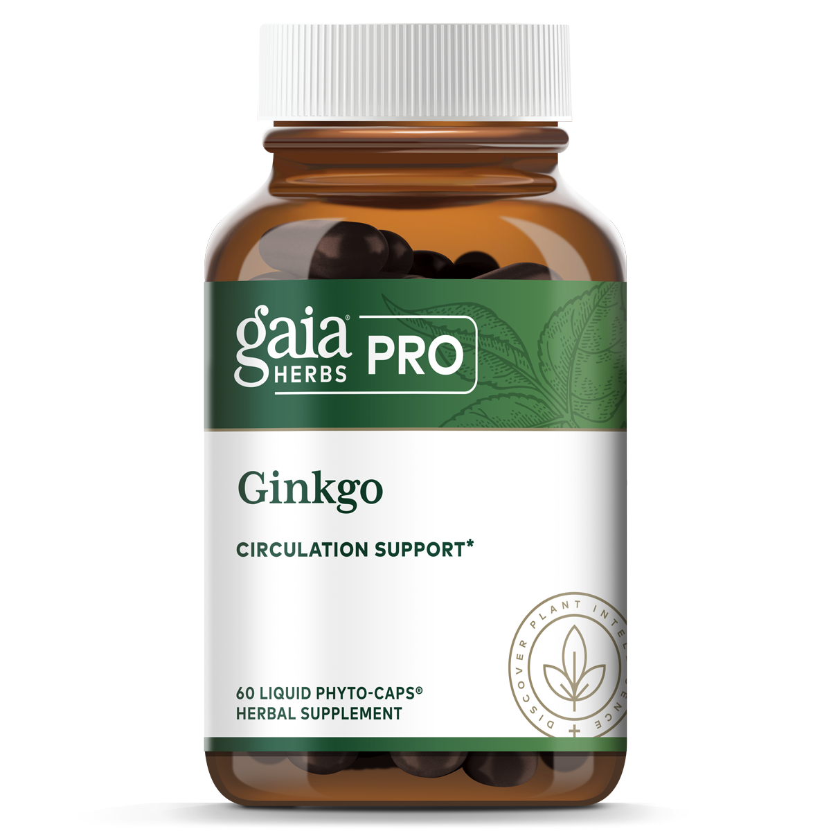 Ginkgo