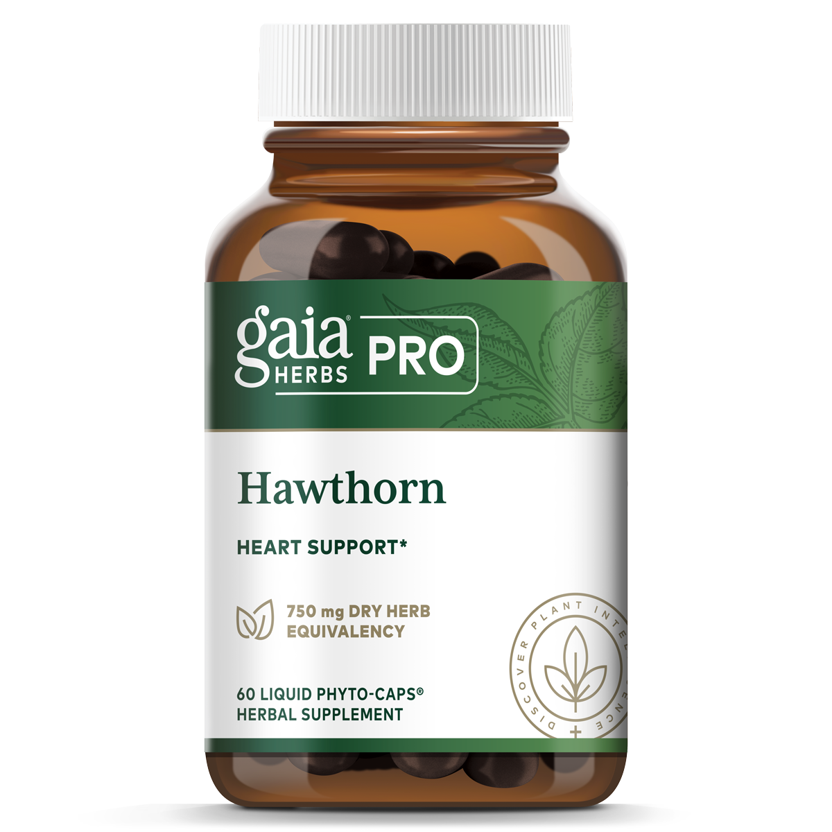 Hawthorn