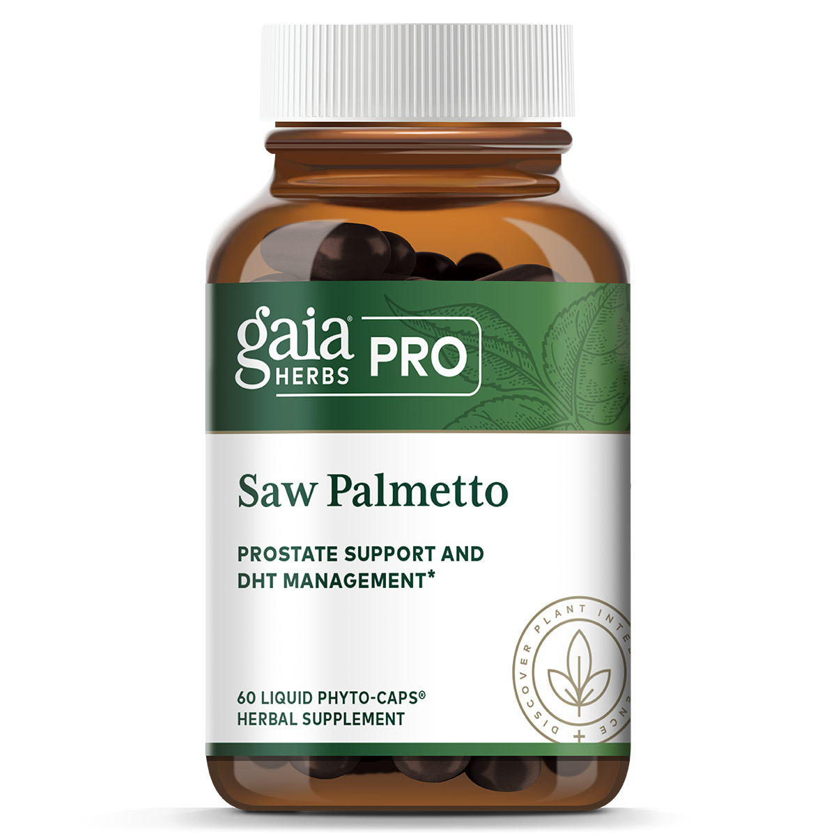 Saw Palmetto