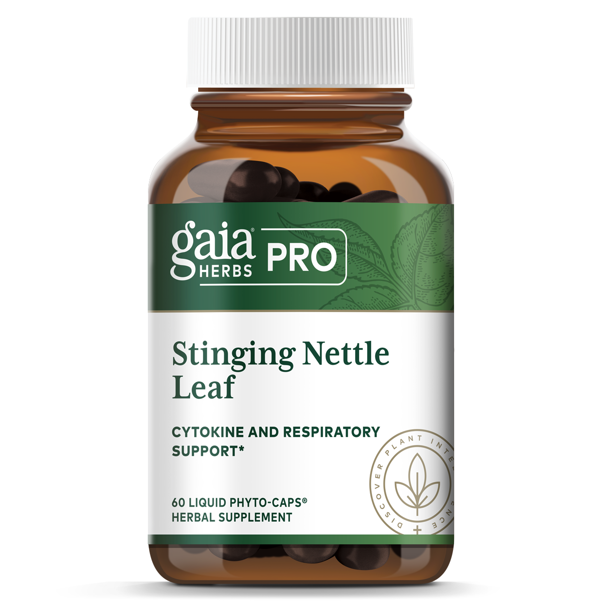 Stinging Nettle Leaf