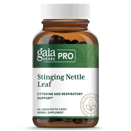 Stinging Nettle Leaf