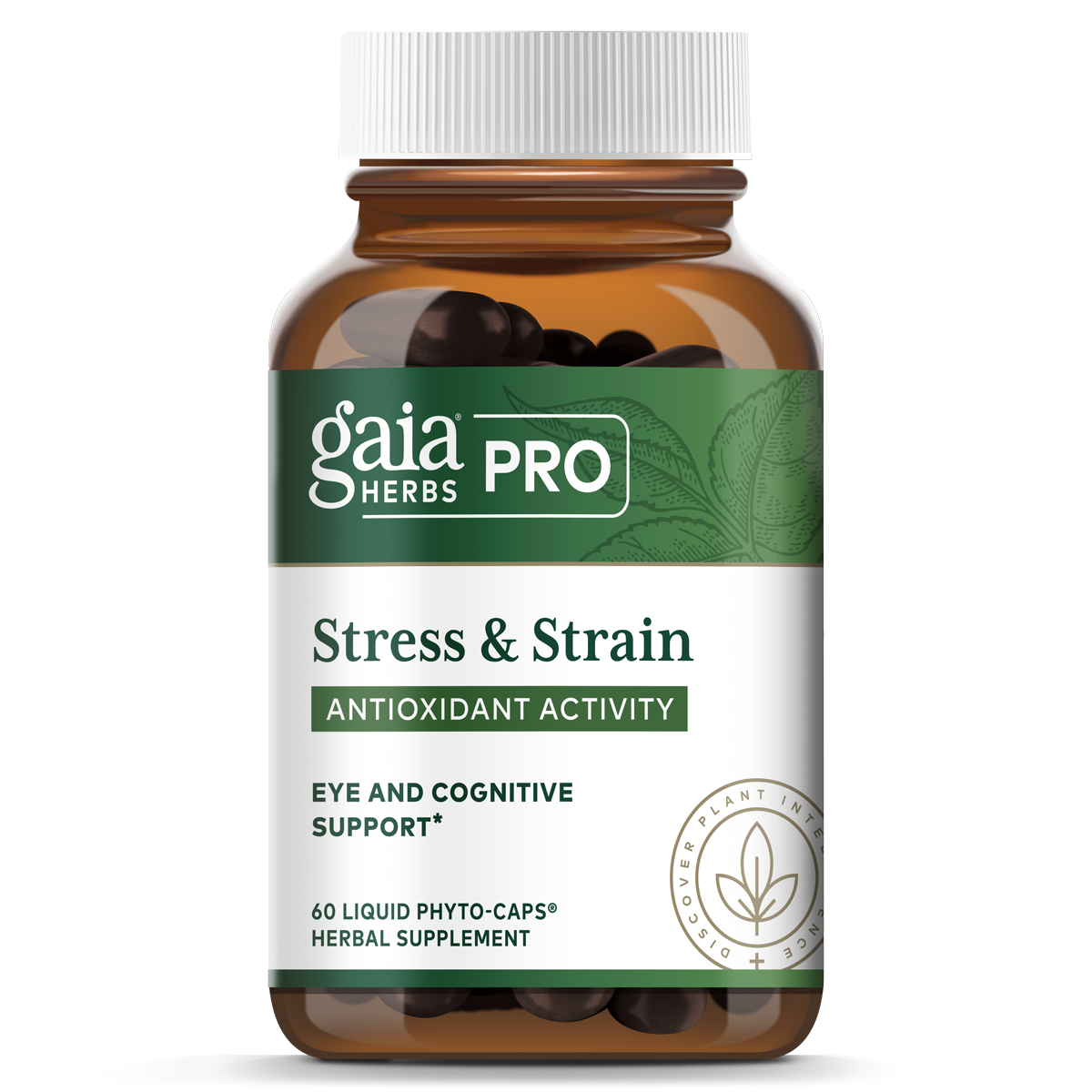 Stress & Strain
